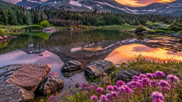 Captivating Nature: A Stunning Wallpaper Gallery Experience | singawin rtp, game pc online ringan