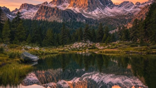 Captivating Photography: How to Use Wallpapers to Enhance Your Home Decor | phoenix sun slot, mesin 