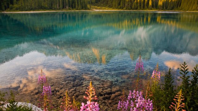 Captivating Nature: Stunning Wallpapers That Inspire Serenity | joker deposit via pulsa tanpa potong