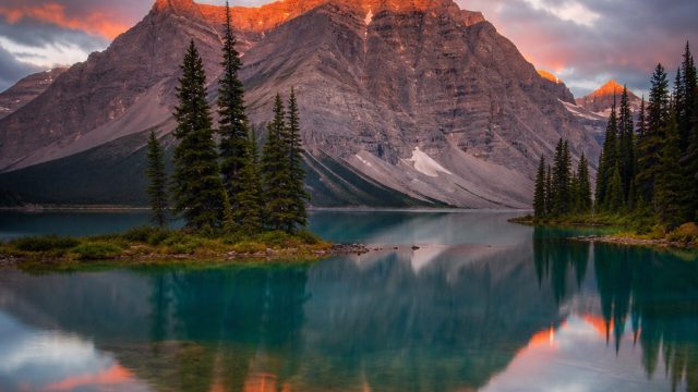 Transform Your Screen: Aesthetic Wallpapers for Modern Devices | slot via dana gacor, sign up bonus 