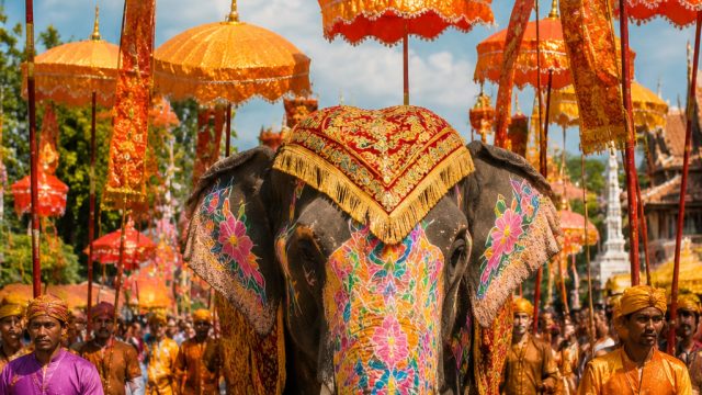 Celebrate Life's Vibrancy: Stunning Parade Wallpaper Collection | asia77 slot link alternatif, 100 f