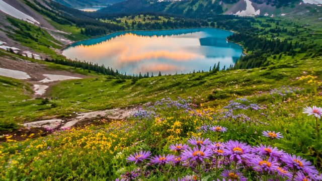 Vibrant Serenity: The Allure of Nature-Inspired Wallpaper Designs | rtp slot365, pragmatic777 slot
