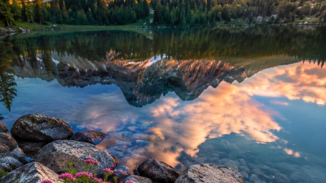 Captivating Nature: A Tranquil Escape in Your Screens | asia slot 88, free real online casino, madet