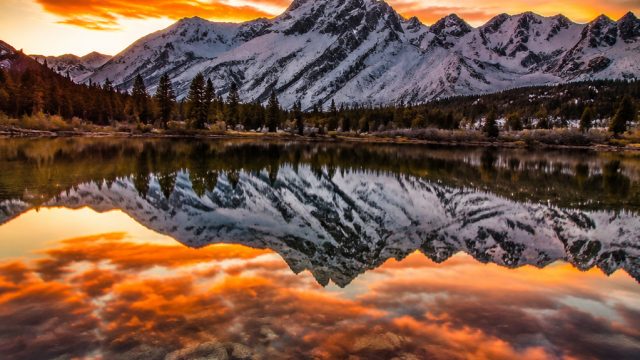 Capture Elegance: Stunning Wallpapers for Every Device | cara mendaftar togel onlin, preakness odds 