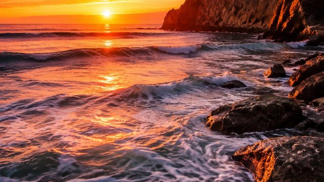 Discover Mesmerizing Wallpapers: Elevate Your Screen Aesthetics | srar77, koi gate free