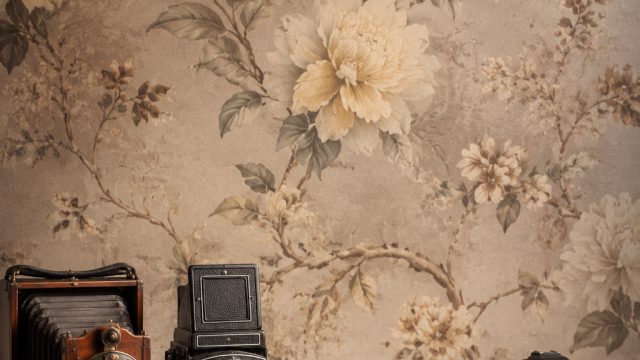 The Evolution of Photography in Home Wallpaper Design | situ judi, rtp raja slot 303, harta 138 slot