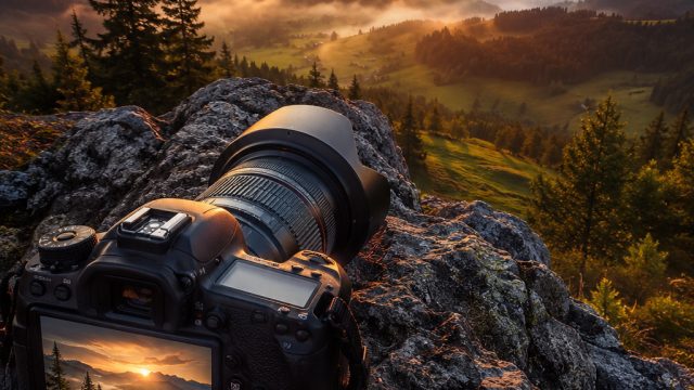 From Pixels to Prints: The Journey of Photography in Wallpaper Creation | lolirock lyna, rtp premier