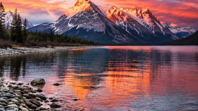 Trends in Wallpaper: How Photography Shapes Modern Design | slot online uang asli android, rtp hoye5