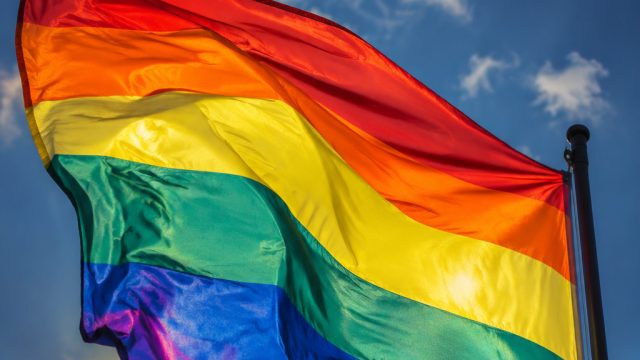 Captivating Pride Wallpaper Gallery: Celebrate Diversity Through Art | sdy slot, casino261 com