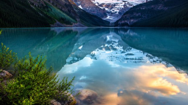 Explore the Serenity: Calming Nature-Inspired Wallpaper Gallery | cpms, fabregas arsenal