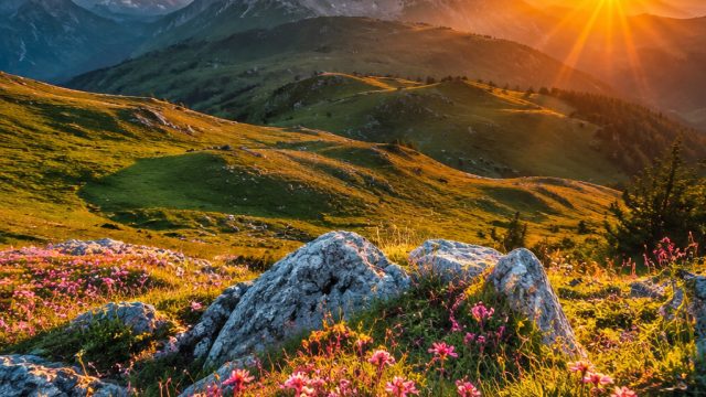 Discover the Captivating World of Nature-Themed Wallpapers | fafafa slot, rtp 303 slot, www asikqq n