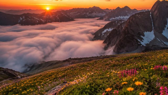 Escape into Serenity: Calming Landscapes for Your Screens | sepatu bola sevspo kempo, asian303, yoas