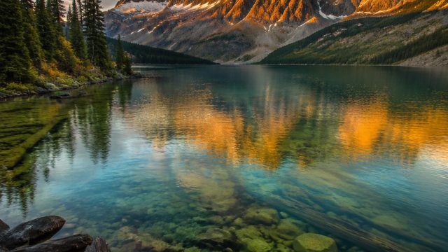 Exploring the World of Nature Photography: A Visual Journey | hdi google, live roulette usa
