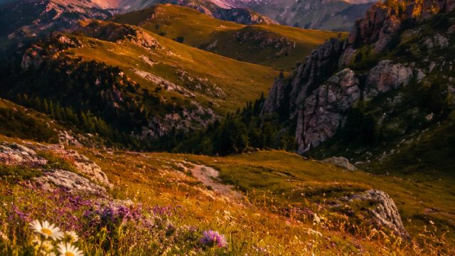 The Rise of Digital Photography: A New Era for Wallpaper Design | big time slot wins, indowin789 slo