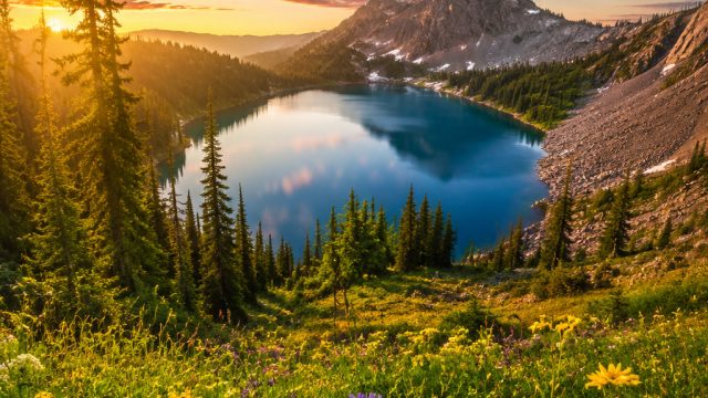 Explore the Serenity of Nature: Perfect Wallpaper for Every Screen | k4d slot, best free roulette ga