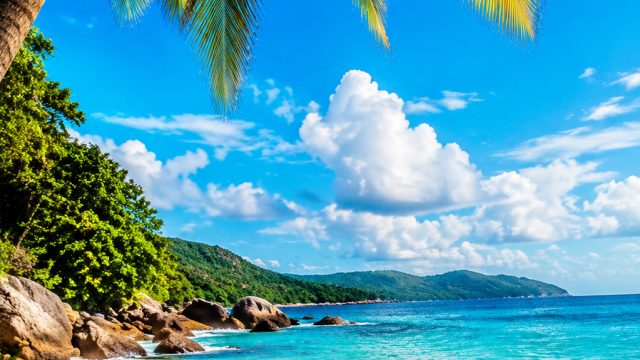 Vibrant Summer Vibes: Perfect Wallpapers for Your Devices | slot padi 888, link alternatif game slot