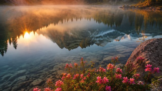 Captivating Visuals: Nature-Inspired Wallpapers for Every Screen | warga123 slot, miya4d, 8togelhong