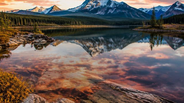 Explore Vibrant Visuals: Your Next Favorite Wallpaper Awaits | goldenlady free spins, play vipbet88,