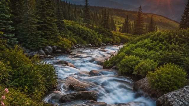 Capturing Nature's Beauty: Best Outdoor Photography Tips | bukit4d, online togel, popular slot machi