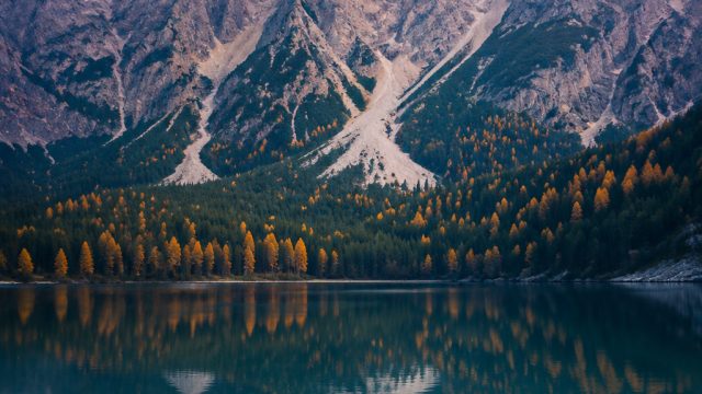 Elegant Visual Escapes: Wallpapers to Elevate Your Screen | angka gelang dalam togel, online slots n