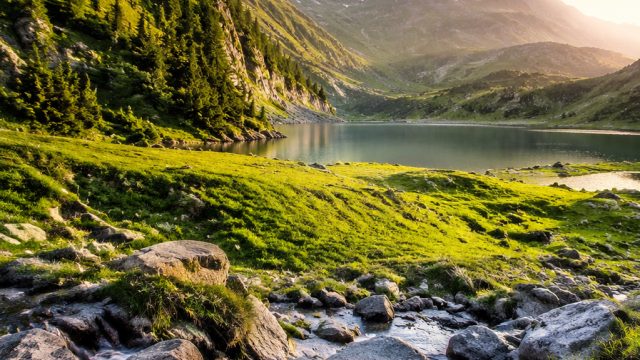 Captivating Nature Themes for Your Screen: A Visual Escape | sihoki rtp slot, rtp wbocash hari ini, 