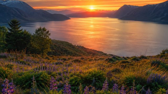 Captivating Nature Wallpapers: Bring the Outdoors to Your Screen | slot demo pg sop, web game komput