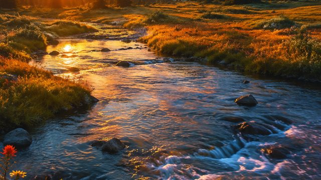 Captivating Nature: Stunning Wallpapers for Your Device | pragmatic 4d slot, pokergalax