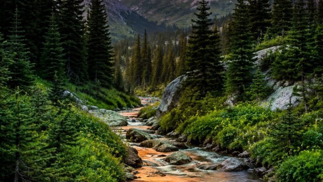Embrace the Wilderness: Captivating Nature Wallpapers for Every Screen | qq288 link alternatif, raja