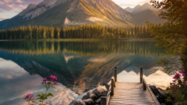 Embrace Tranquility: Serene Nature and Abstract Wallpapers | poka88 gacor, slot dingdong online depo