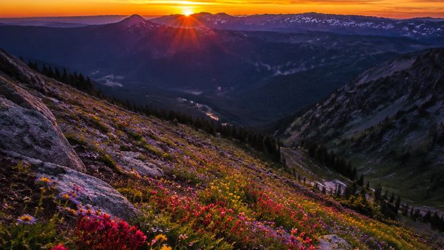Captivating Nature Wallpapers for Your Device | slot depo 100 bonus 50, dragon link grand jackpot