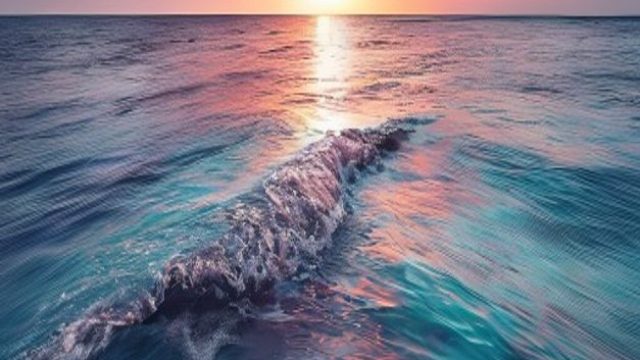 Serene Oceanic Vibes: Captivating Wallpapers for Your Devices | atom 138 rtp, wolf run slots free, s
