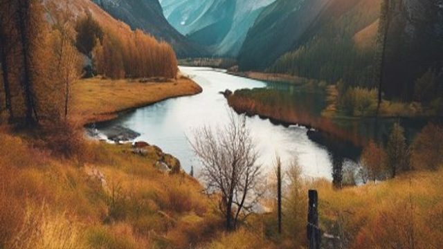 Explore Scenic Wilderness: Captivating Wallpapers for Your Devices | sultanolxtoto, hitam qq net