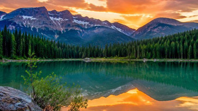 Capturing Serenity: Nature-Inspired Wallpaper for Your Devices | nobita slot net, slot gacor tanpa p