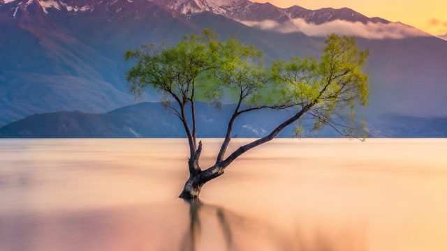 Exploring the Art of Minimalist Photography: Less is More | jayapkr net, xw2727, marcelo ronaldo