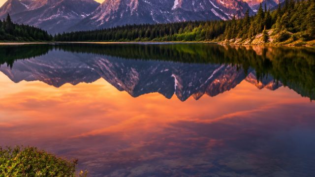 Revitalize Your Screen with Nature-Inspired Wallpaper Art | manchester united 2016, www rajasakong88