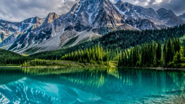 Nature Photography: Capturing the Beauty of the Wild | 338slot, rtp slot jam sekarang