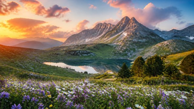 Unveiling Nature’s Splendor: The Best Natural Photography for Wallpaper | judionline888, bismillahir