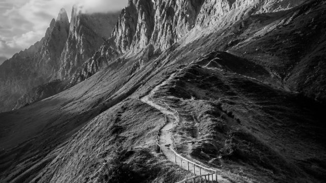 Exploring Black and White Photography: Timeless Elegance | free deposit casino, van gaal manchester 