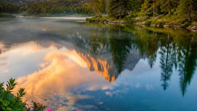 Serene Nature: Captivating Wallpapers for Tranquil Moments | free game slot fa fa zhu, alamhoki88, d