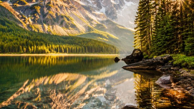 Explore the Tranquil Beauty of Nature in Stunning Wallpapers | new online real money casinos, rekapa