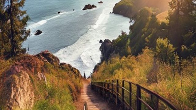Revitalizing the Scenic West Coast: A Journey on Upgraded Trails | main gratis slot, olympus strikes