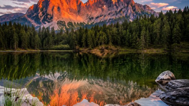 Discover Tranquility with Nature-Inspired Wallpaper Designs | luxury1288 login, kartu poker link