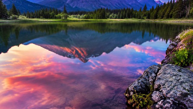 Vibrant Colors: The Role of Color in Photography | ignitioncasino com, mandiri4d slot