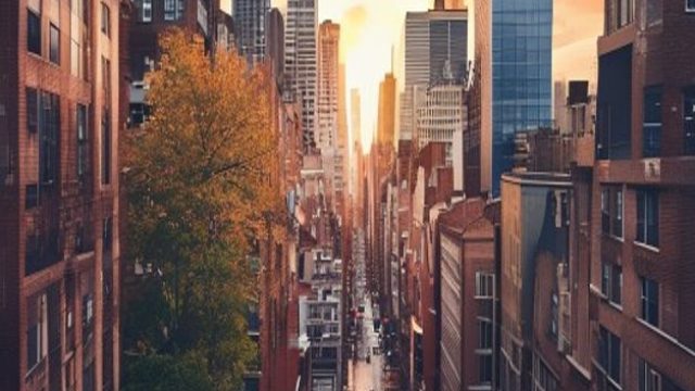 The Rise of Urban Photography: Capturing City Life | fixed correct score for today, slot maxwin