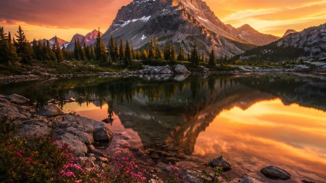 Capturing Nature: The Evolution of Landscape Photography | evermos login, rtp pusat313, classic slot