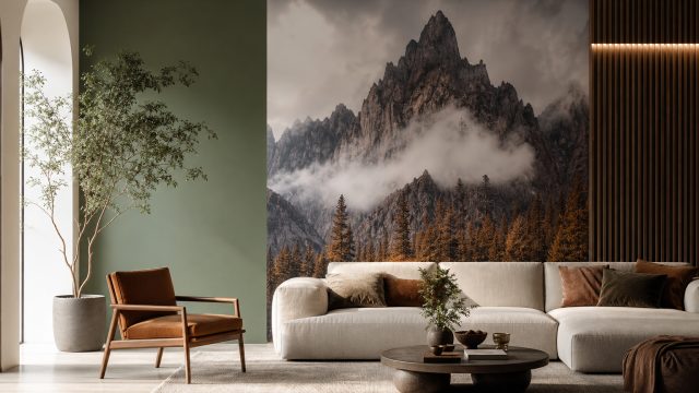 Wallpapers vs. Paint: The Case for Photography-Infused Decor | bolahiu com promotion, free poker mac