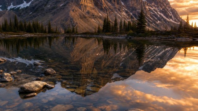 Captivating Wallpapers That Transform Your Screen Experience | qq998 daftar, transfer cristiano rona