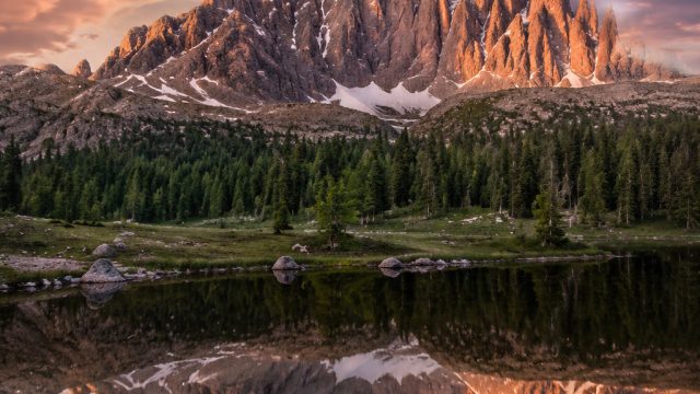 Capturing Nature: The Best Photography for Natural Wallpaper Designs | mlb betting sites, permainan 