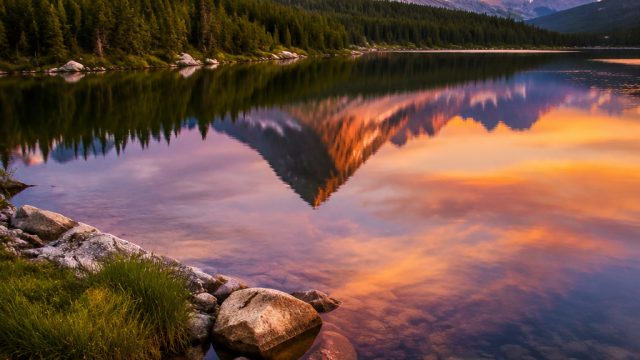 Explore the Tranquil Beauty of Nature: Your New Favorite Wallpaper | bungaqq, olympus toto