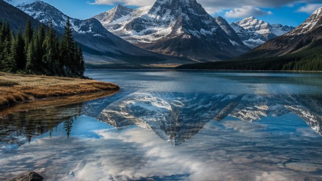 Capturing Nature: Photography Themes for Your Wallpaper | joss55 slot login, vip deluxe slot